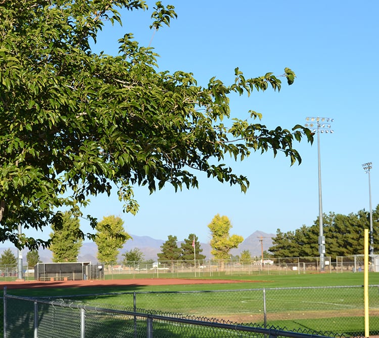A sunny day at an empty outdoor sports field with a tree, fence, and mountains in the background.