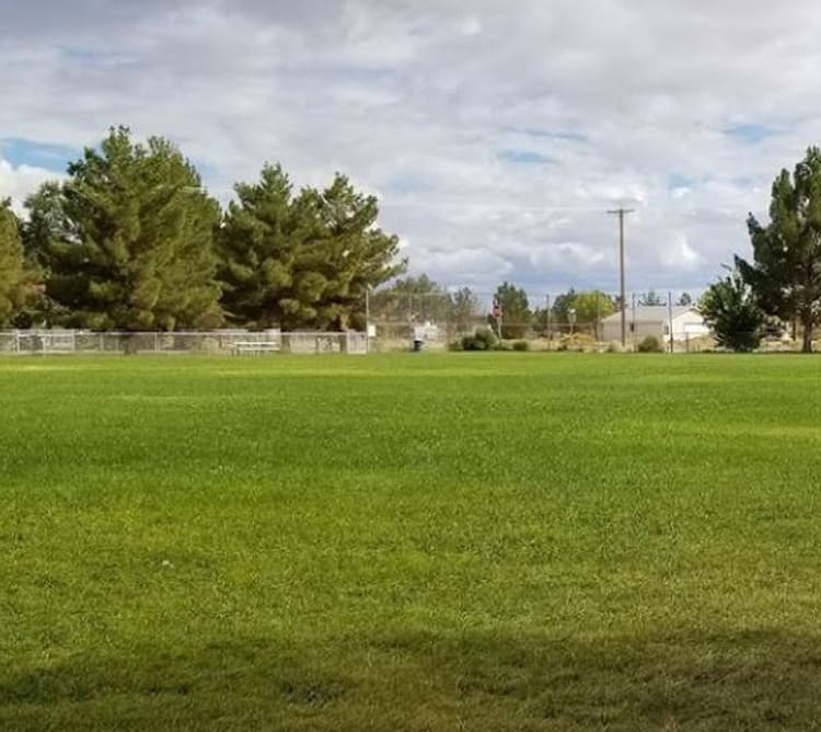 A grassy field with trees, a fence, and a few buildings in the background under a partly cloudy sky.