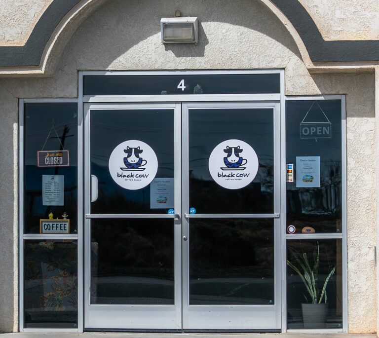 Glass doors of Black Cow coffee shop with logo, closed and open signs, and a potted plant by the entrance.
