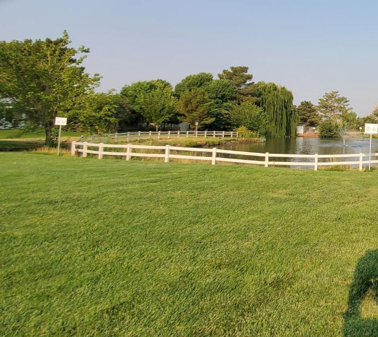 A grass field with a white fence and trees.