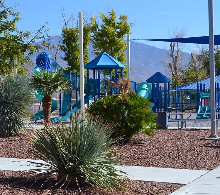Playground with blue slides and climbing structures, surrounded by desert plants and mountains in the background.