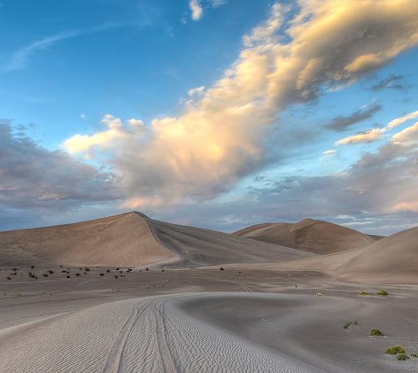 Sand dunes under a blue sky with scattered clouds; sparse vegetation is visible on the desert landscape.