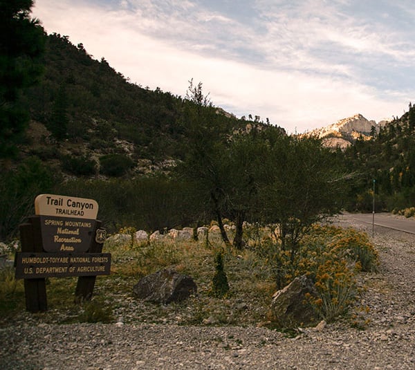 Trailhead sign and gravel path leading into a mountainous, tree-lined landscape under a cloudy sky.