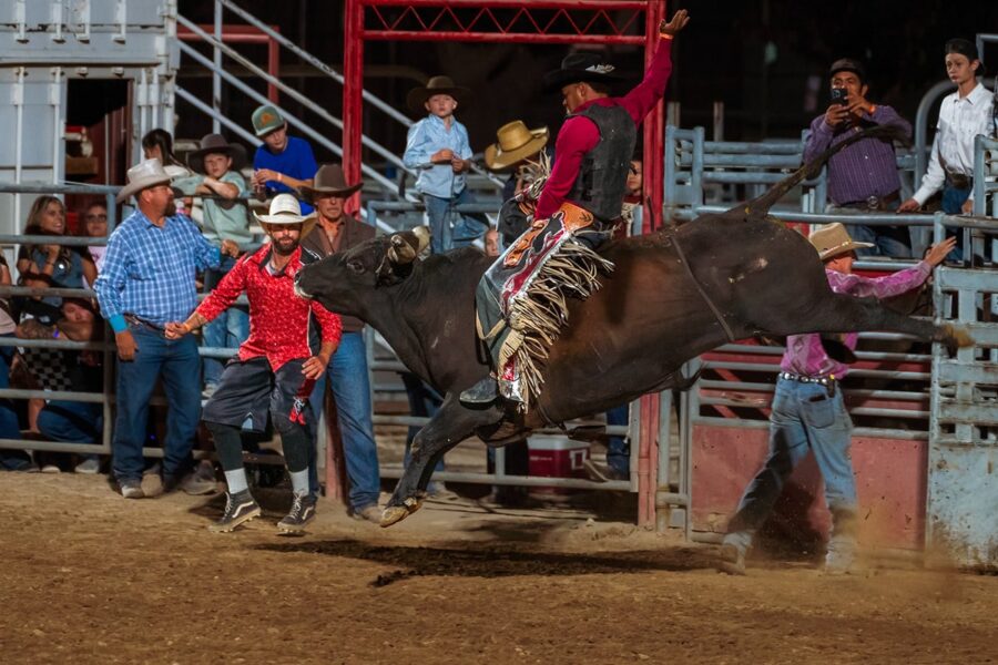 A rodeo rider clings to a bucking bull as spectators and rodeo clowns watch in a dirt arena.