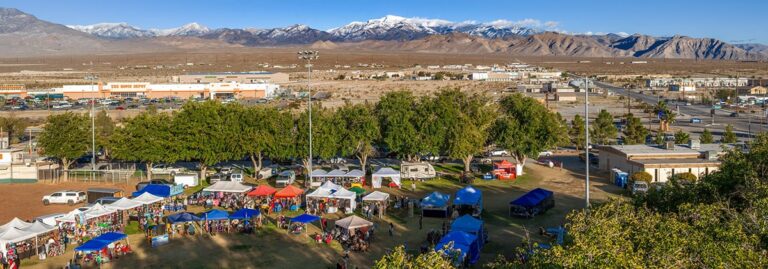Aerial view of a park festival with colorful tents, trees, and mountains in the background.