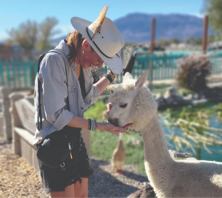 Woman in a hat feeds a white alpaca outdoors, with mountains and a pond in the background.