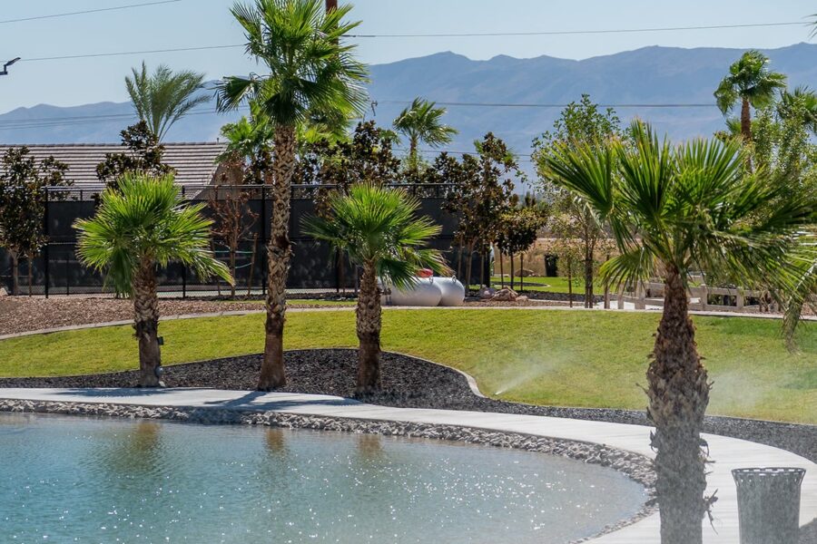 Palm trees and green grass surround a pool with mountains visible in the background on a sunny day.
