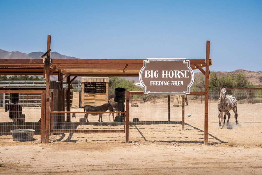 Wooden sign reads Big Horse Feeding Area in front of a fenced enclosure with two horses on a sunny day.